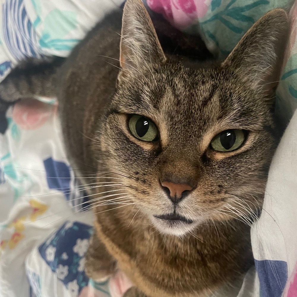 Meet your Posher, Posh